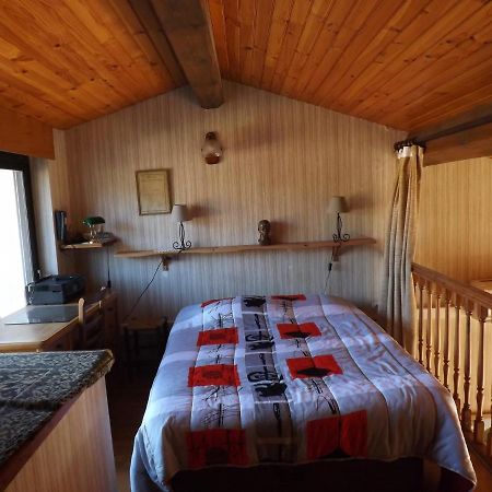 T3 très agréable, 2 terrasses, bien placé Amélie-les-Bains-Palalda Extérieur photo